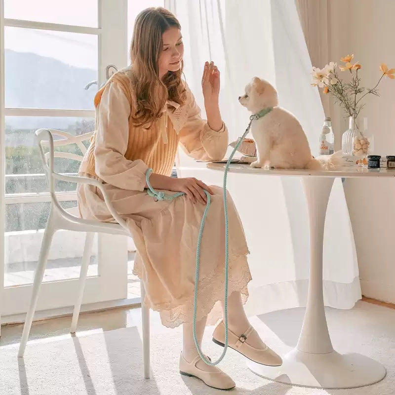 Discover the Ultimate Pet Leather Collar with Hand Held Rope Leash Control
